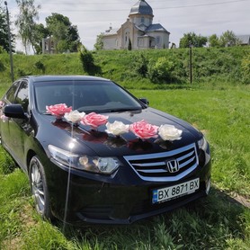Honda ACCORD Black&White - авто на весілля у Хмельницькому - портфоліо 6