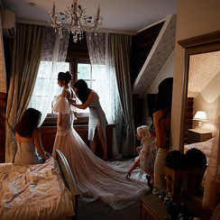 Алексей Мозалёв - фотограф у Житомирі - фото 2