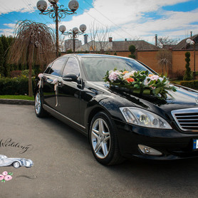 Mersedes S550 - авто на весілля у Вінниці - портфоліо 2