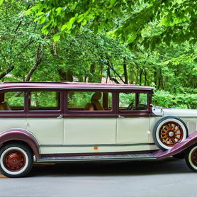 301 Al Capone NEW ретро кабріолет - авто на весілля у Києві - портфоліо 3