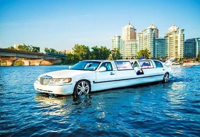 Ольга avtolimo - фото 1