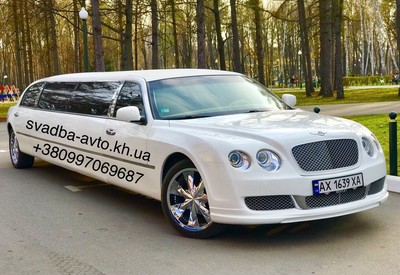Константин  svadba-avto.kh.ua - фото 2