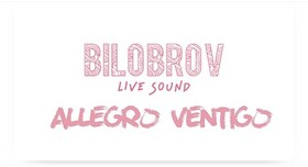 Творческий дуэт ведущих STUDIO BIS - ведучий у Києві - фото 4