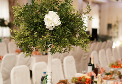 Event-hall Velyur - фото 2