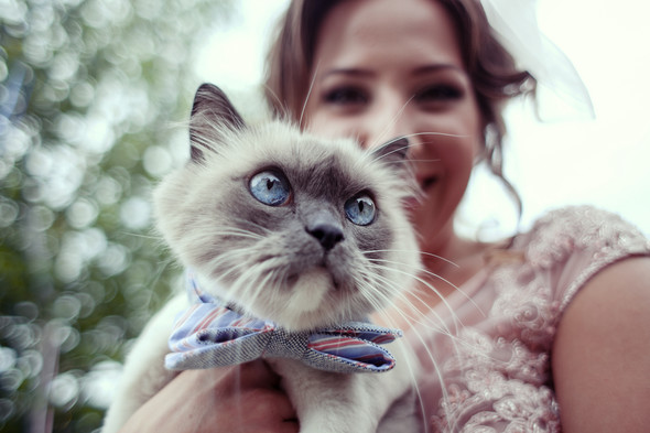 Wedding day Odessa/ Свадебный день Одесса / фотограф Артем Кулаксыз - фото №9