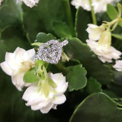 Prytula jewellery - обручки у Харкові - фото 2