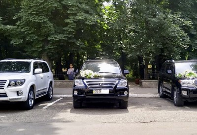Тарас - фото 2