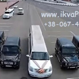 Лімузини Рівне - авто на весілля у Рівному - портфоліо 5