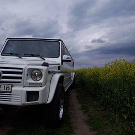 Лімузин  Gelandewagen 3 вісі у Луцьку - авто на весілля у Луцьку - портфоліо 5