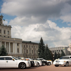 Chrusler 300C - авто на весілля у Хмельницькому - портфоліо 5