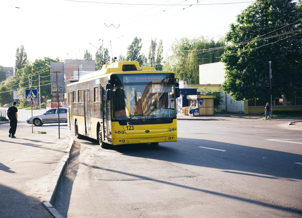 Бородач та Рижуля) - фото №36