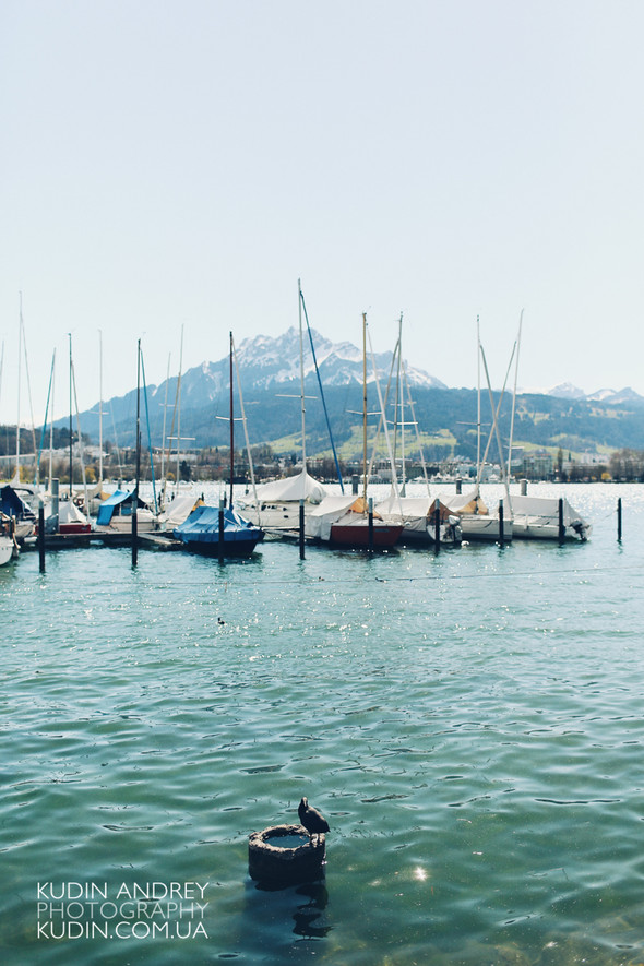 Love Story in Luzern - фото №1