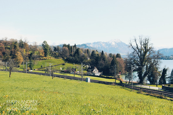 Love Story in Luzern - фото №48