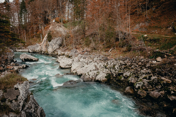 Alessia & Max. Lofer - фото №39