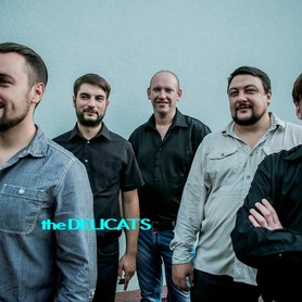 DELICATS (ДЕЛІКЕТС) - музиканти, dj у Житомирі - портфоліо 1