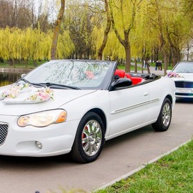 прокат авто на весілля Седани ауді бмв мерседес кр - авто на весілля у Луцьку - портфоліо 6
