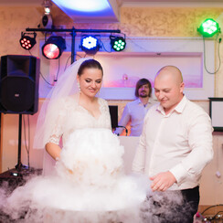 Viva Дуэт - музиканти, dj у Миколаєві - фото 4