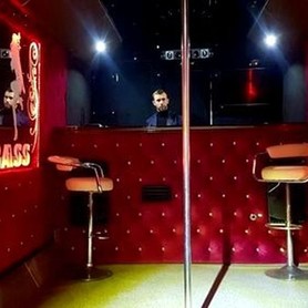 369 Автобус Пати бас Diamond Party Bus прокат - авто на весілля у Києві - портфоліо 5