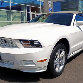 Ford Mustang - авто на весілля у Києві - портфоліо 1