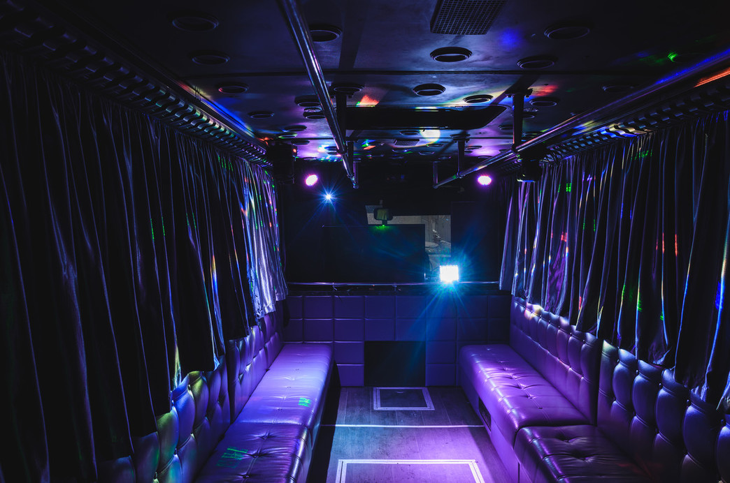Party Bus Silver 