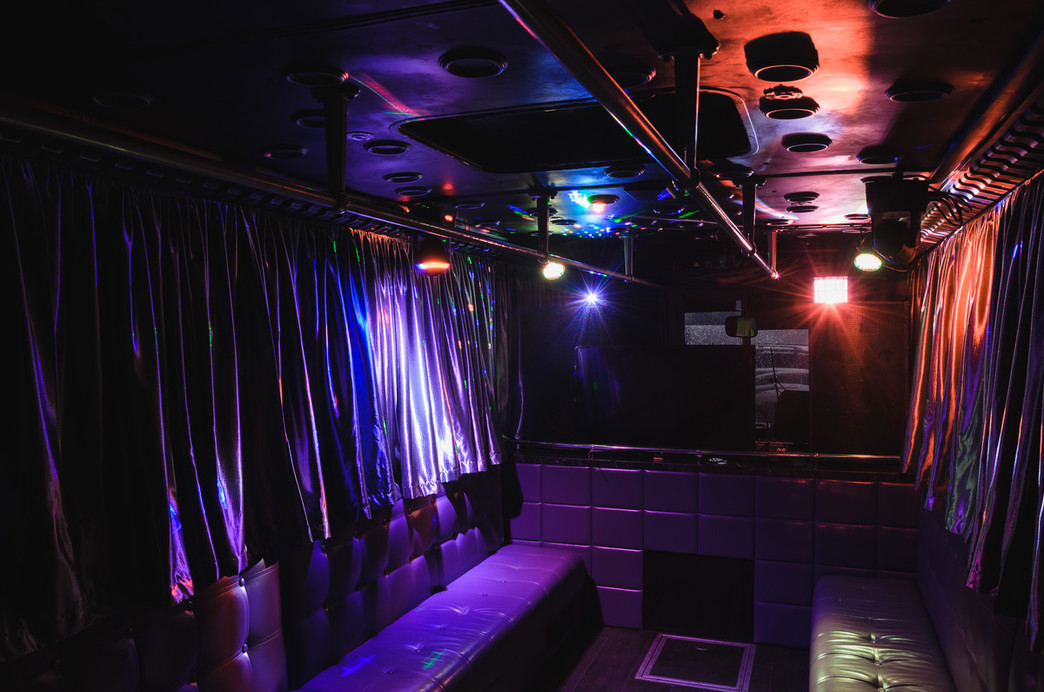Party Bus Silver 