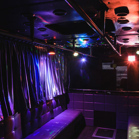 Party Bus Silver - авто на весілля у Києві - портфоліо 5