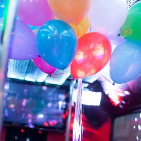 Party Bus Vegas - авто на весілля у Києві - портфоліо 5