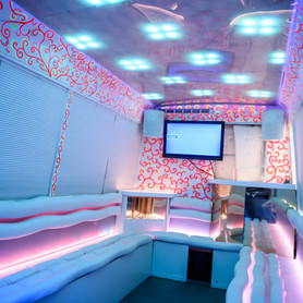 Party Bus Avatar - авто на весілля у Києві - портфоліо 3
