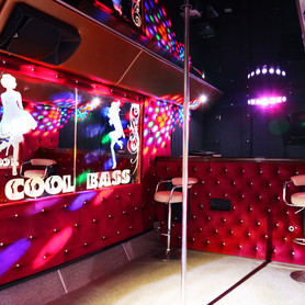 Party Bus Diamond - авто на весілля у Києві - портфоліо 5