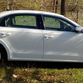 Volkswagen Passat Comfort - авто на весілля у Маріуполі - портфоліо 3