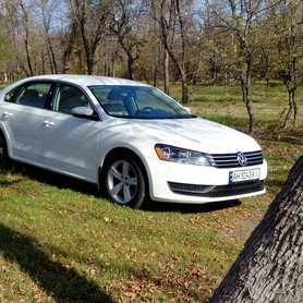 Volkswagen Passat Comfort - авто на весілля у Маріуполі - портфоліо 4