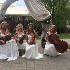 Crystal Classic - музиканти, dj у Києві - фото 2
