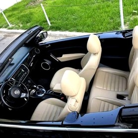 391 Оренда Volkswagen Beetle чорний - авто на весілля у Києві - портфоліо 4