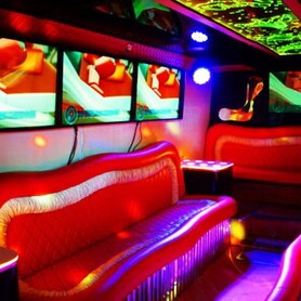 392 Party Bass Party Game Bus Infinity - авто на весілля у Києві - портфоліо 4