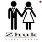 Zhuk video studio 
