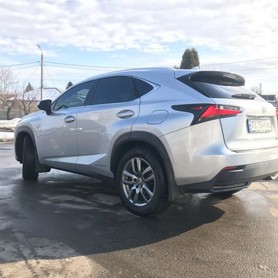 Lexus NX - авто на весілля у Харкові - портфоліо 5
