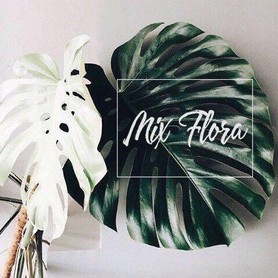 MixFlora