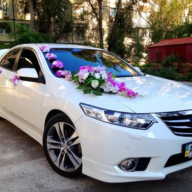 Honda Accord бел. - авто на весілля у Дніпрі - портфоліо 1