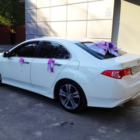 Honda Accord бел. - авто на весілля у Дніпрі - портфоліо 4