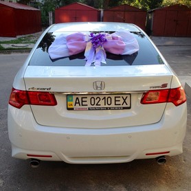 Honda Accord бел. - авто на весілля у Дніпрі - портфоліо 6