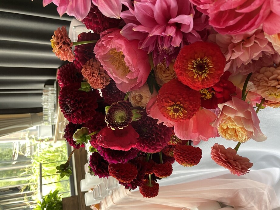 Ombre Decor Studio