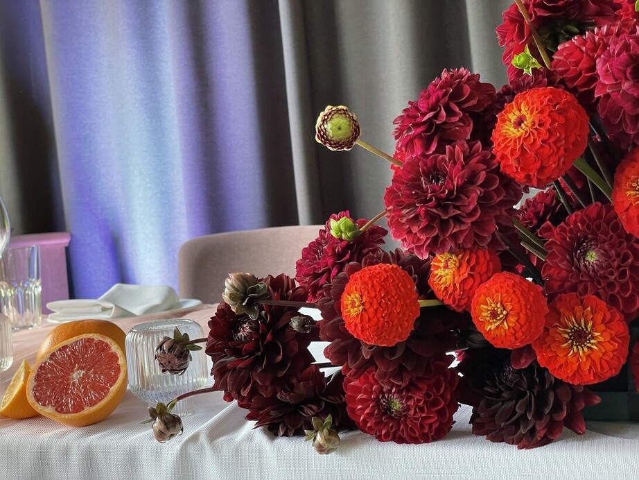 Ombre Decor Studio
