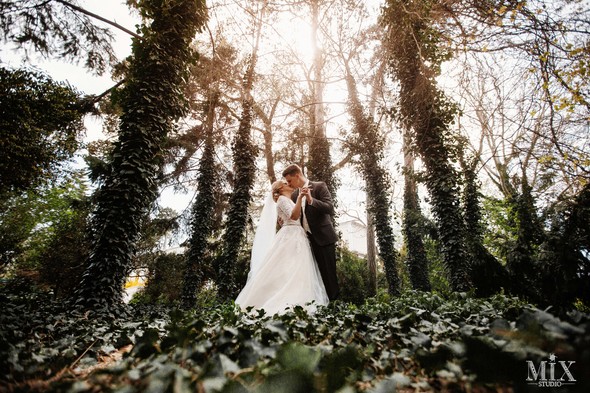 wedding 2018 - фото №12