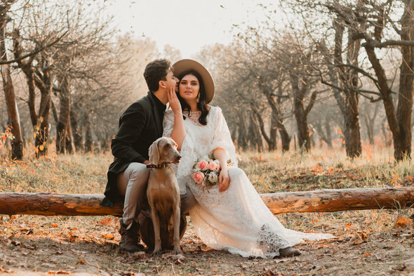 Wedding.  Nikita & Alena  - фото №45