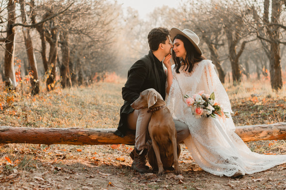 Wedding.  Nikita & Alena  - фото №39