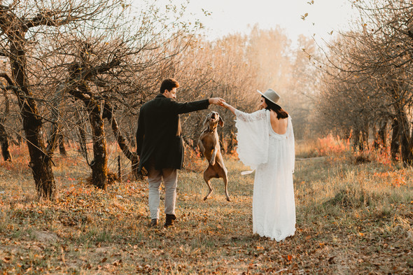 Wedding.  Nikita & Alena  - фото №30