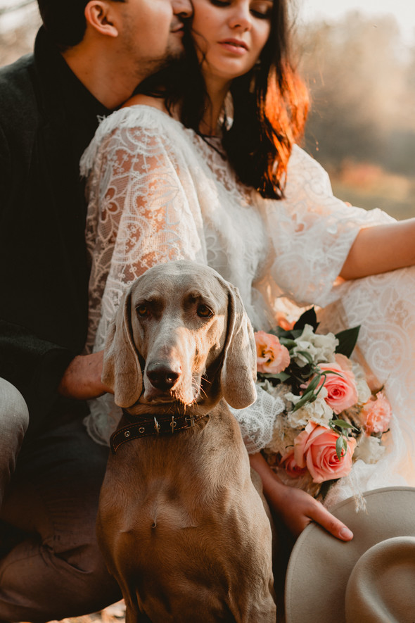 Wedding.  Nikita & Alena  - фото №44