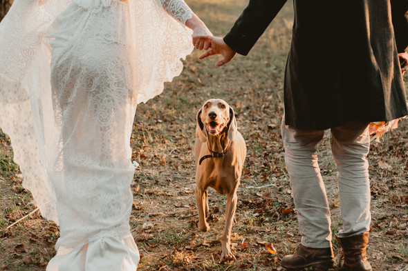 Wedding.  Nikita & Alena  - фото №29