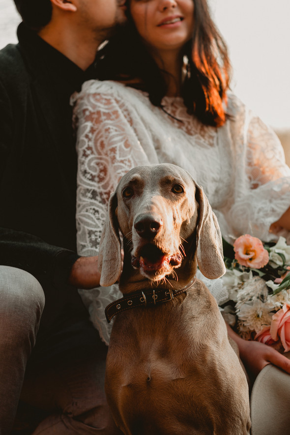 Wedding.  Nikita & Alena  - фото №38