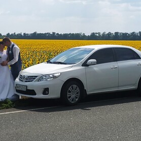 Toyota Corolla - авто на весілля у Слов'янську - портфоліо 1